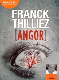 Angor: Livre audio 2 CD MP3